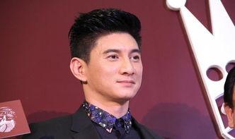 吴奇隆爆料娱乐圈,一场星光璀璨下的暗流涌动