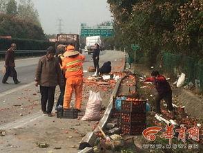 杞县柿园车祸最新爆料消息,悲剧现场细节披露,调查深入进行中 第3张 杞县柿园车祸最新爆料消息,悲剧现场细节披露,调查深入进行中 第3张