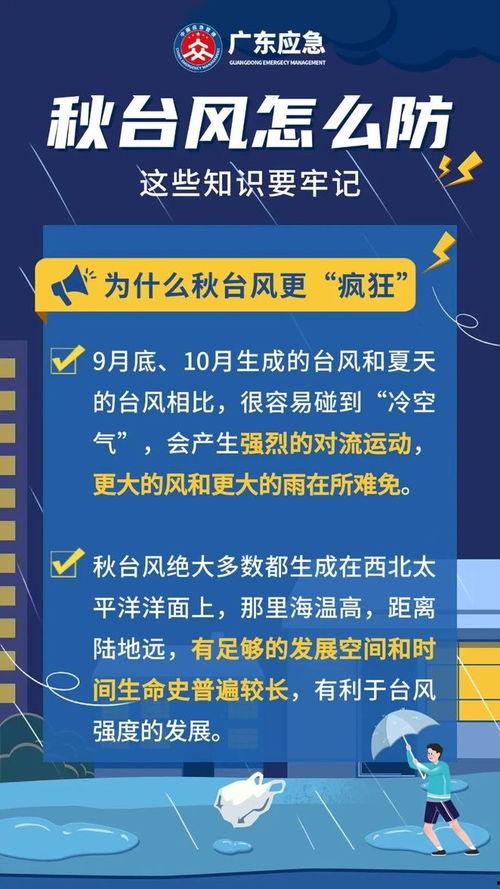 最新台风爆料消息今天新闻,揭秘今日新闻焦点!” 第3张 最新台风爆料消息今天新闻,揭秘今日新闻焦点!” 第3张